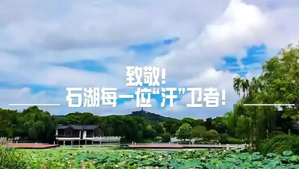 924749530d079c731343fa0091948396