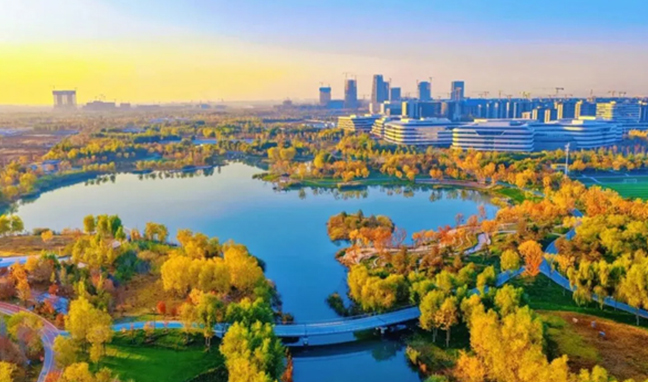 74cbbd0c195de2e71f9be729e3cff53c