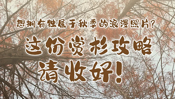 d6a1977218ad339516e43b1a18b7d477