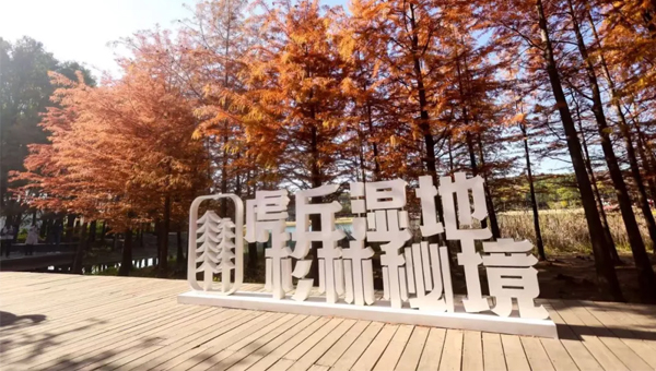 57d2b7232fd9f20605ad56d9f438828e