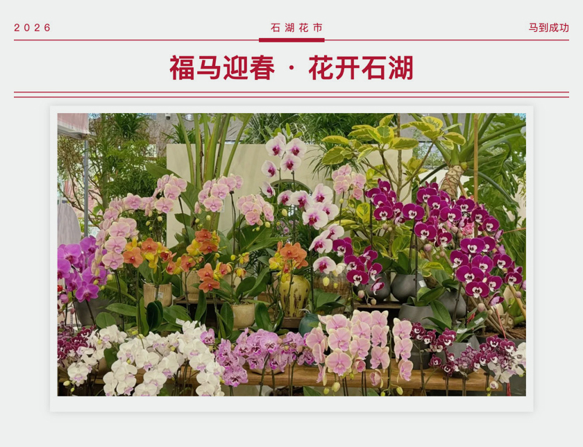 2026-01-06-13_32_41_01 .jpg