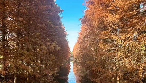 1ea3a91799815f3cd3e55f202bed1e90