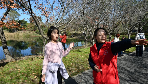 b63b685a62fc39d54ae53a6c06dc2e39