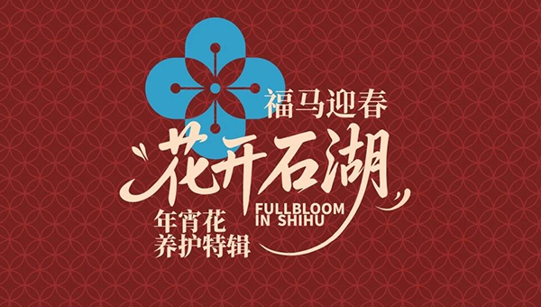 07d3164f49fa79488e745ec9f4e6ee4b